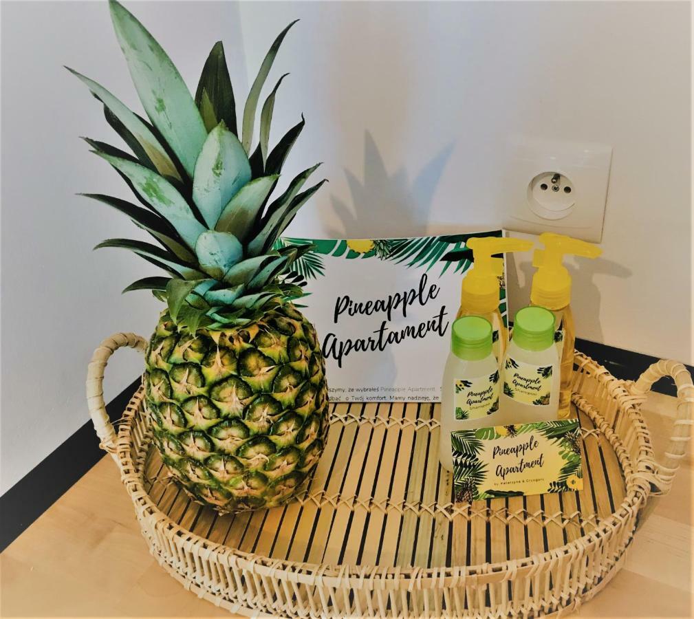 Pineapple Apartment Колобжег Екстер'єр фото